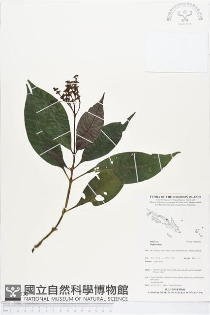 登錄號:BS04730藏品圖，第1張