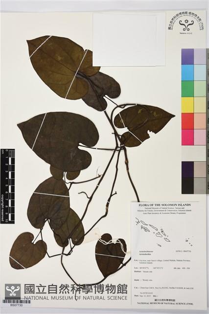 登錄號:BS07730藏品圖，第1張