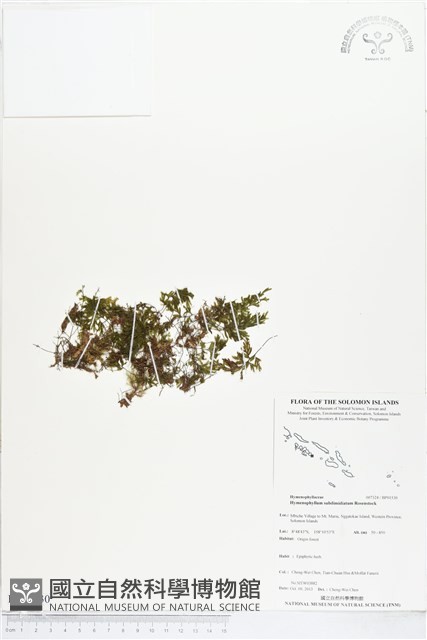 登錄號:BP01530藏品圖，第1張