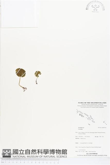 登錄號:BS03530藏品圖，第1張