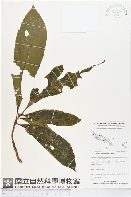 登錄號:BS03930藏品圖，第1張