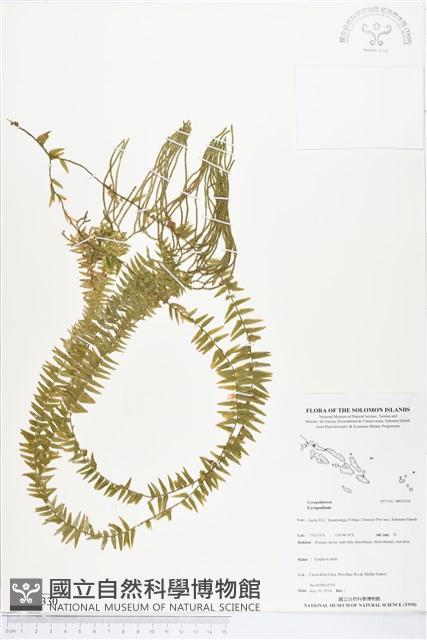 登錄號:BP02330藏品圖，第1張