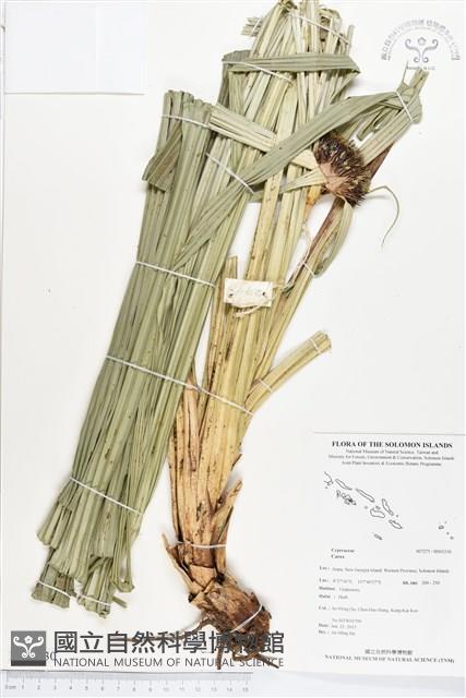 登錄號:BS03330藏品圖，第1張