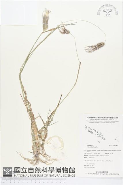 孟仁草藏品圖，第1張