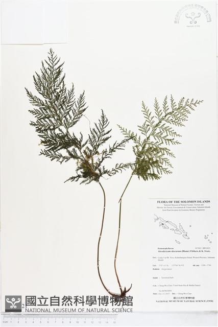 登錄號:BP01821藏品圖，第1張