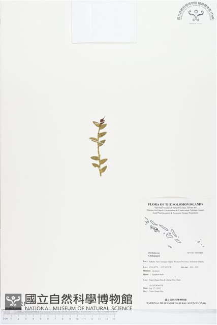 登錄號:BS01821藏品圖，第1張