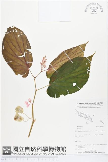 登錄號:BS04821藏品圖，第1張