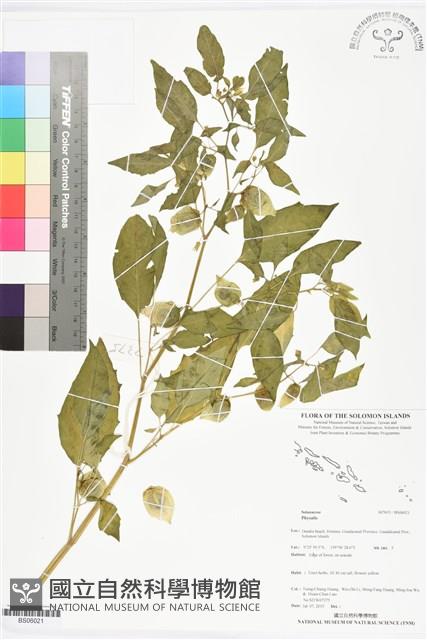 登錄號:BS06021藏品圖，第1張