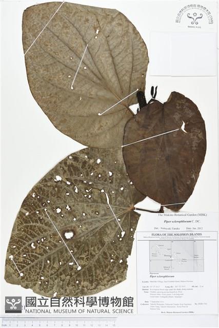 登錄號:BS01621藏品圖，第1張