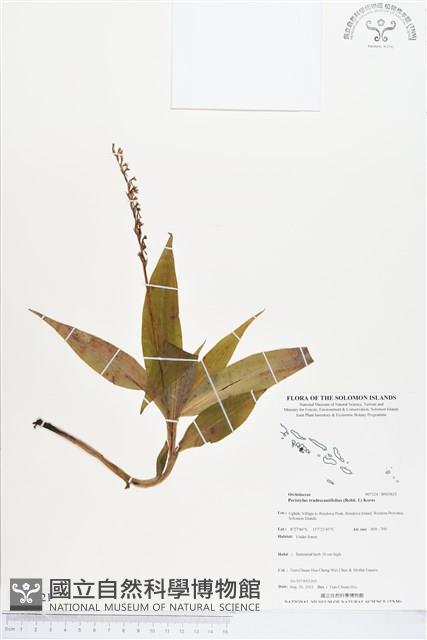 登錄號:BS03621藏品圖，第1張