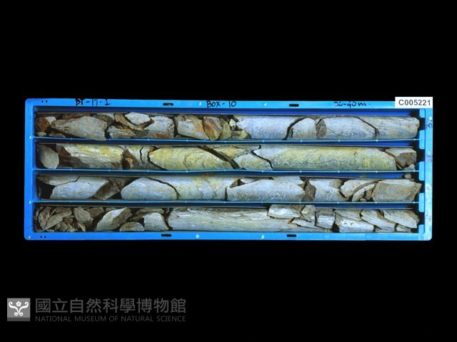 登錄號:C005221藏品圖，第1張