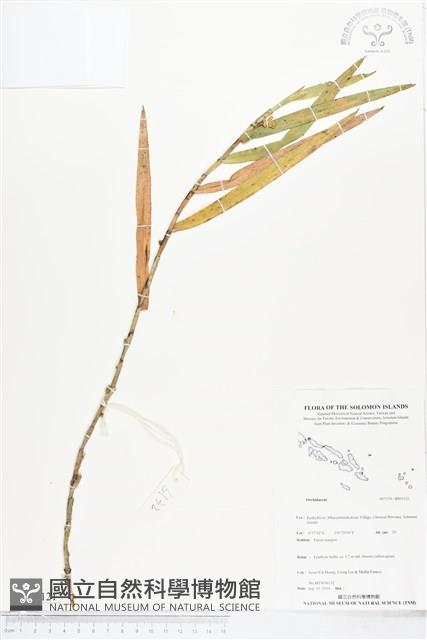 登錄號:BS05121藏品圖，第1張