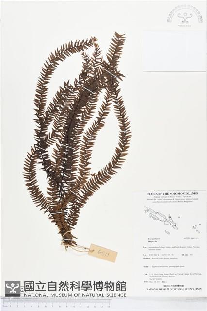 登錄號:BP02421藏品圖，第1張