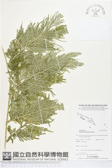登錄號:BP01421藏品圖，第1張
