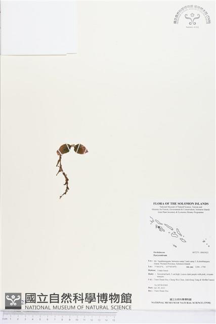 登錄號:BS03421藏品圖，第1張