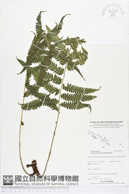 登錄號:BP01221藏品圖，第1張