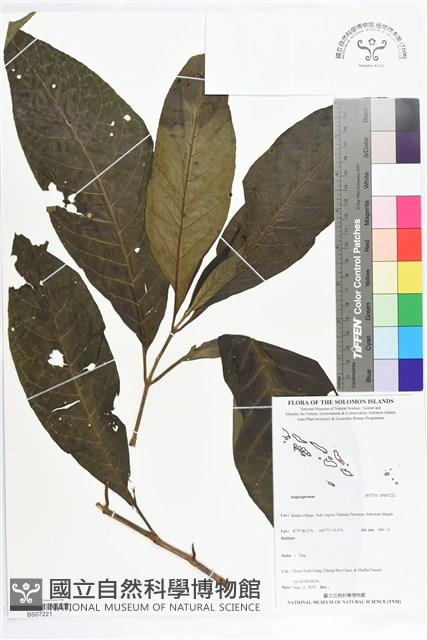 登錄號:BS07221藏品圖，第1張