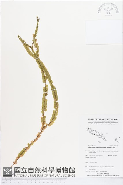 登錄號:BP01721藏品圖，第1張