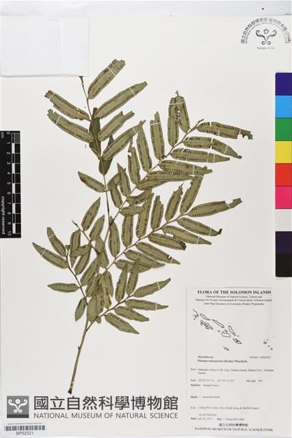 登錄號:BP02521藏品圖，第1張