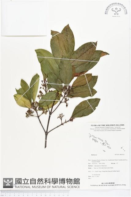 登錄號:BS02521藏品圖，第1張