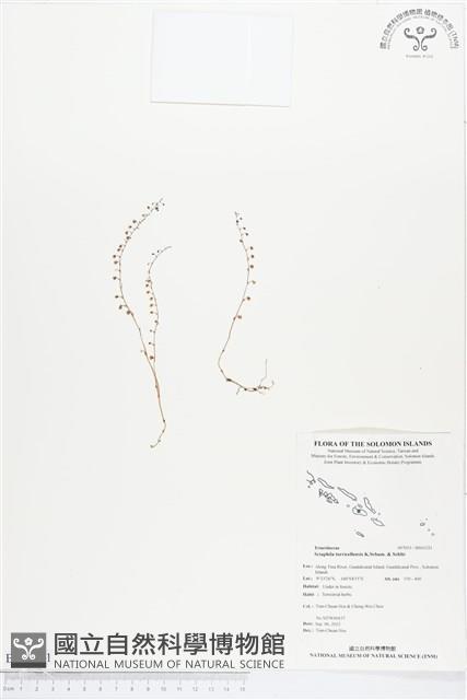 登錄號:BS01521藏品圖，第1張