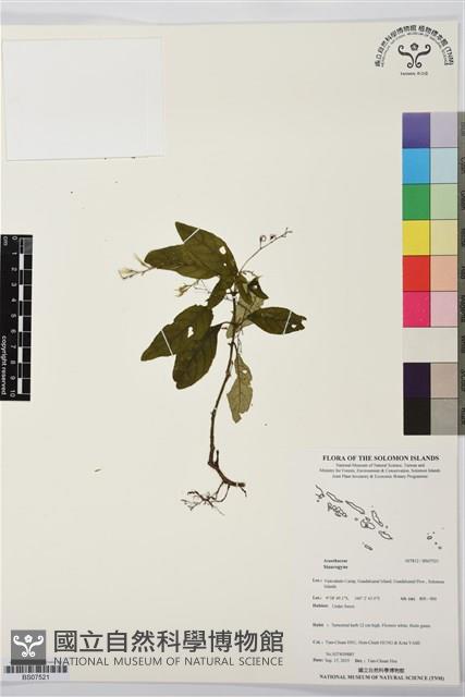 登錄號:BS07521藏品圖，第1張