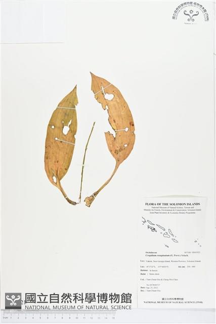 登錄號:BS01921藏品圖，第1張