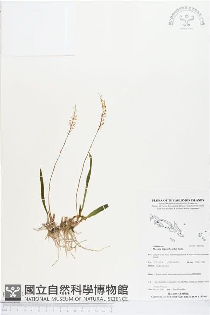 登錄號:BS03921藏品圖，第1張