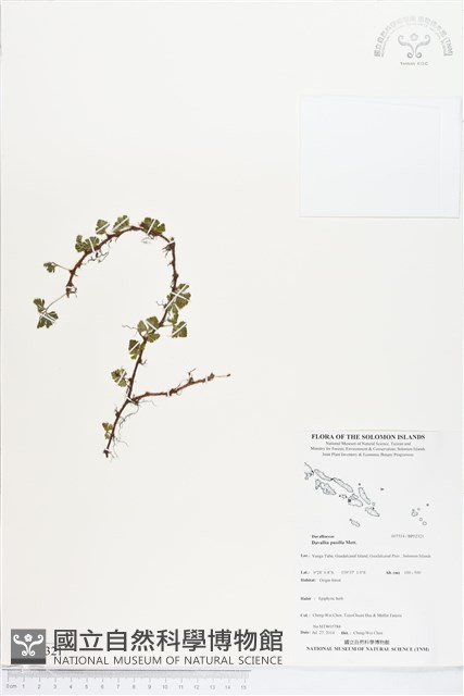 登錄號:BP02321藏品圖，第1張
