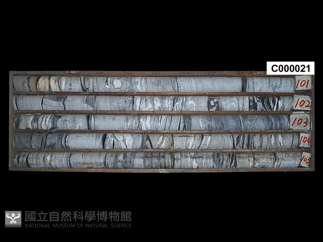 Accession Number:C000021 Collection Image, Figure 1, Total 3 Figures