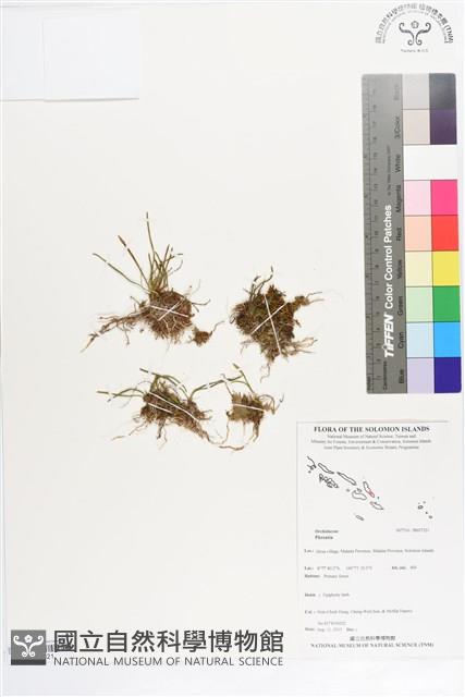 登錄號:BS07321藏品圖，第1張