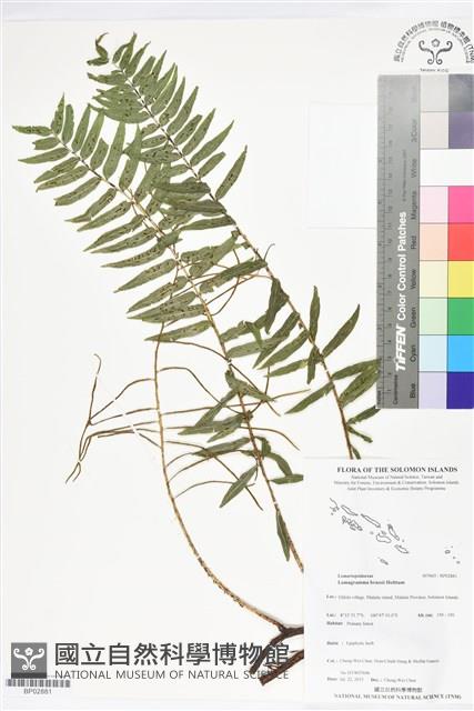 登錄號:BP02881藏品圖，第1張