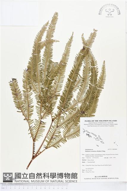 登錄號:BP00881藏品圖，第1張