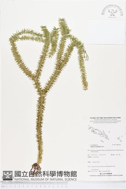 登錄號:BP01881藏品圖，第1張