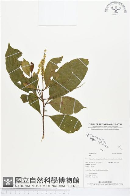 登錄號:BS01881藏品圖，第1張