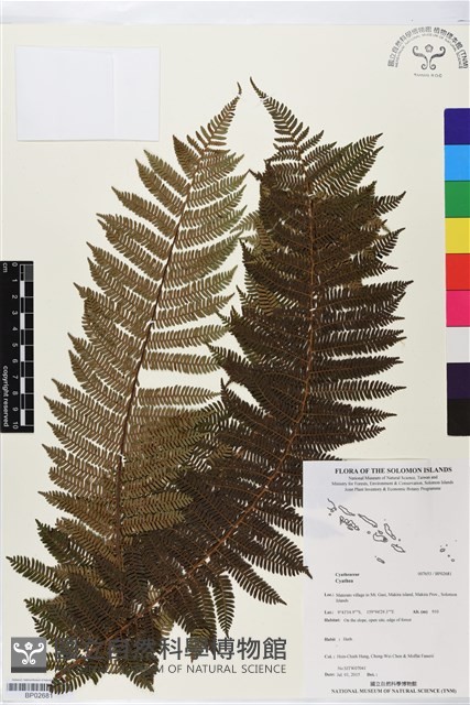 登錄號:BP02681藏品圖，第1張