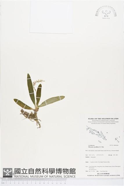 登錄號:BS04681藏品圖，第1張