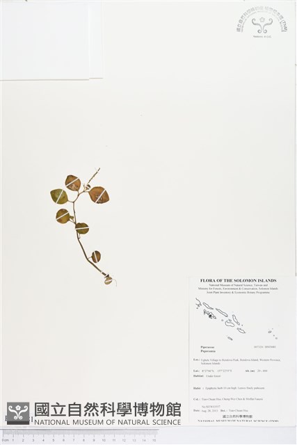登錄號:BS03681藏品圖，第1張