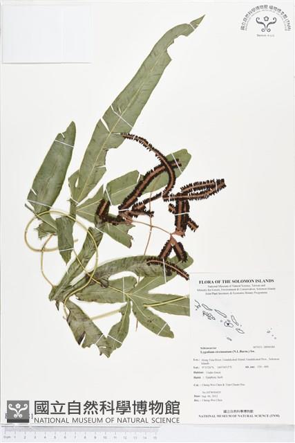 登錄號:BP00181藏品圖，第1張