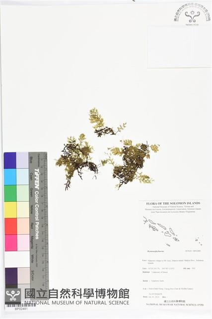 登錄號:BP02481藏品圖，第1張