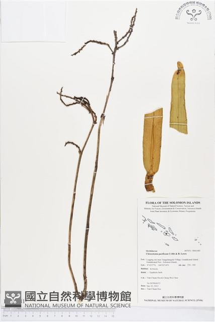 登錄號:BS01481藏品圖，第1張