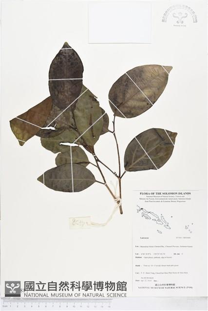 登錄號:BS04481藏品圖，第1張