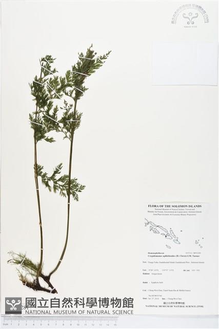 登錄號:BP02281藏品圖，第1張