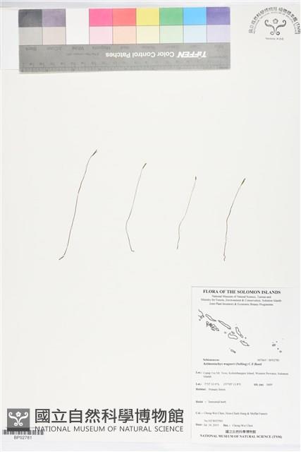 登錄號:BP02781藏品圖，第1張