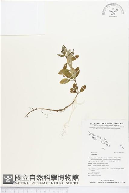 登錄號:BS02781藏品圖，第1張