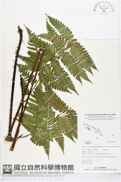 登錄號:BP00781藏品圖，第1張