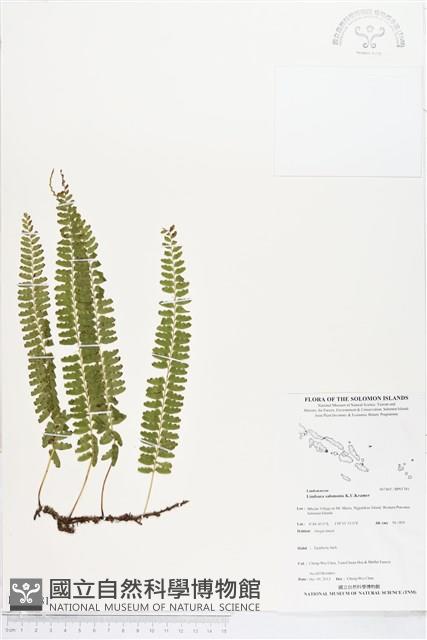 登錄號:BP01781藏品圖，第1張