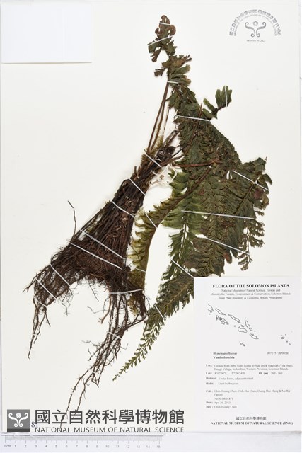登錄號:BP00581藏品圖，第1張