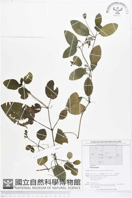 登錄號:BS01581藏品圖，第1張