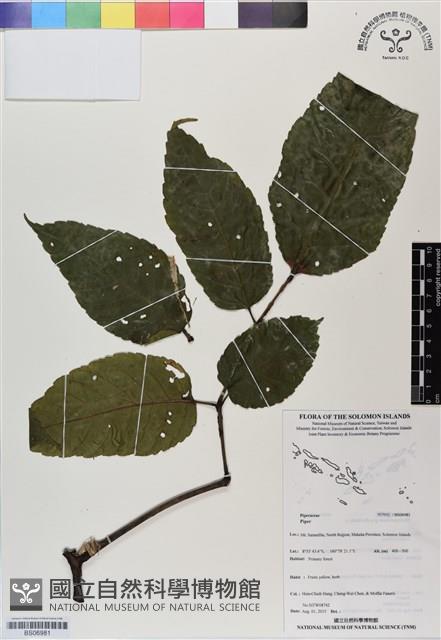登錄號:BS06981藏品圖，第1張